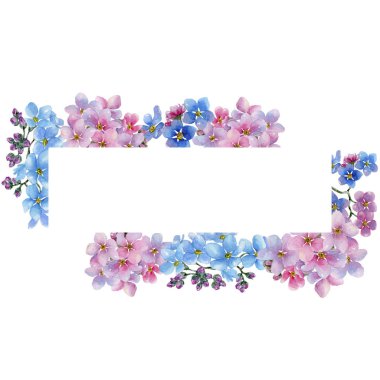 Renkli myosotis. Botanik çiçek. Çerçeve kenarlığı süsleme Meydanı. Arka plan, doku, sarıcı desen, çerçeve veya kenarlık için Aquarelle kır çiçeği.
