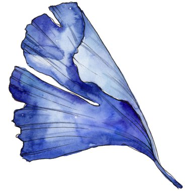 Ginkgo yaprağı izole bir suluboya tarzında. Aquarelle yaprak için arka plan, doku, sarıcı desen, çerçeve veya kenarlık.