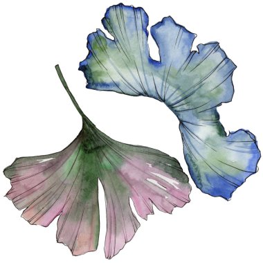 Ginkgo izole bir suluboya tarzında bırakır. Aquarelle yaprak için arka plan, doku, sarıcı desen, çerçeve veya kenarlık.