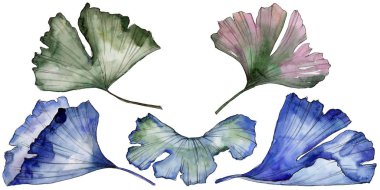 Ginkgo izole bir suluboya tarzında bırakır. Aquarelle yaprak için arka plan, doku, sarıcı desen, çerçeve veya kenarlık.