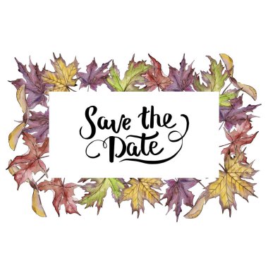 Akçaağaç izole bir suluboya tarzında bırakır. Çerçeve kenarlığı süsleme Meydanı. Aquarelle yaprak için arka plan, doku, sarıcı desen, çerçeve veya kenarlık.