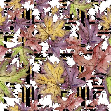 Akçaağaç izole bir suluboya tarzında bırakır. Sorunsuz arka plan deseni. Kumaş duvar kağıdı yazdırma doku. Aquarelle yaprak için arka plan, doku, sarıcı desen, çerçeve veya kenarlık.