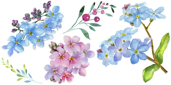 Färgglada Myosotis Blommig Botaniska Blomma Vilda Våren Leaf Wildflower Isolerade — Stockfoto