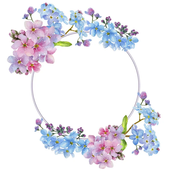 Renkli myosotis. Botanik çiçek. Çerçeve kenarlığı süsleme Meydanı. Arka plan, doku, sarıcı desen, çerçeve veya kenarlık için Aquarelle kır çiçeği.