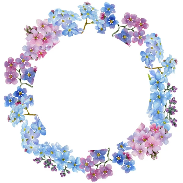 Renkli myosotis. Botanik çiçek. Çerçeve kenarlığı süsleme Meydanı. Arka plan, doku, sarıcı desen, çerçeve veya kenarlık için Aquarelle kır çiçeği.