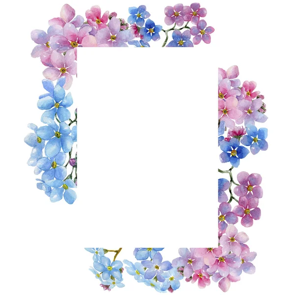 多彩的 Myosotis 花卉植物花 框边框装饰广场 包装图案 框架或边框的水彩画野花 — 图库照片