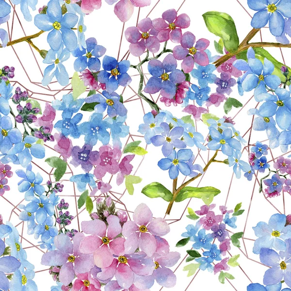 Miosotis Colorida Flor Botánica Floral Patrón Fondo Sin Costuras Textura — Foto de Stock