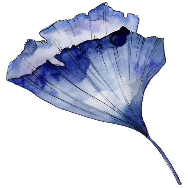Ginkgo yaprağı izole bir suluboya tarzında. Aquarelle yaprak için arka plan, doku, sarıcı desen, çerçeve veya kenarlık.