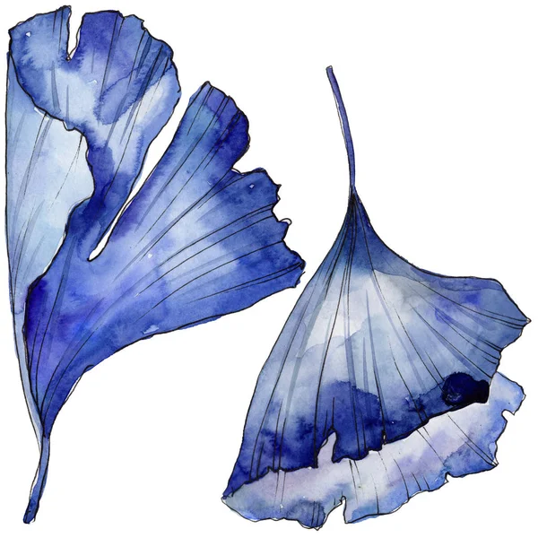 Ginkgo izole bir suluboya tarzında bırakır. Aquarelle yaprak için arka plan, doku, sarıcı desen, çerçeve veya kenarlık.