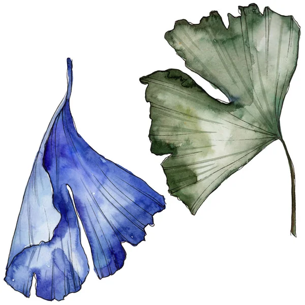 Ginkgo izole bir suluboya tarzında bırakır. Aquarelle yaprak için arka plan, doku, sarıcı desen, çerçeve veya kenarlık.