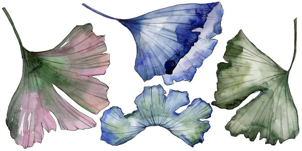 Ginkgo izole bir suluboya tarzında bırakır. Aquarelle yaprak için arka plan, doku, sarıcı desen, çerçeve veya kenarlık.
