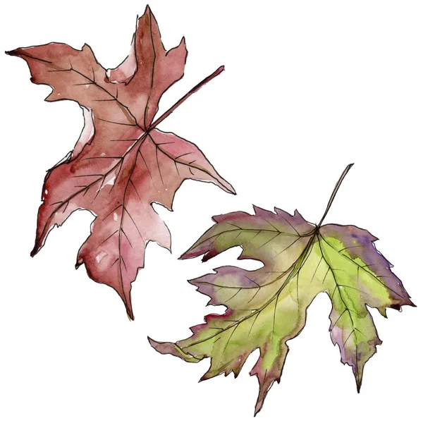 Feuilles Érable Dans Style Aquarelle Isolé Feuille Aquarelle Pour Fond — Photo