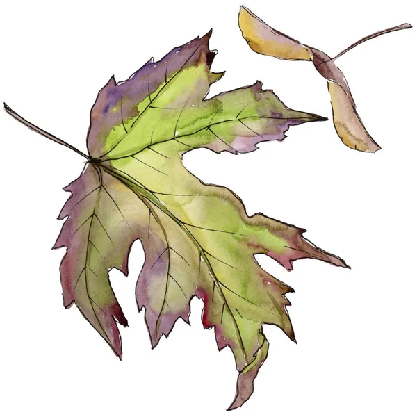 메이플 수채화 스타일에 나뭇잎 프레임 테두리에 — 스톡 사진