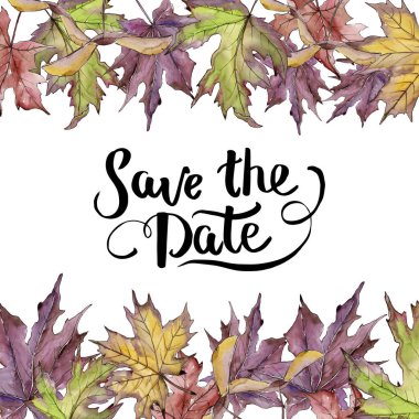 Akçaağaç yaprağı. Yaprak bitki botanik bahçe çiçek yaprakları. Çerçeve kenarlığı süsleme Meydanı.