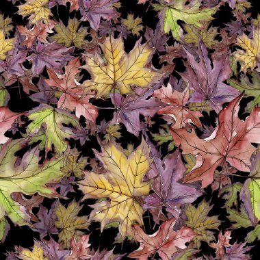 Akçaağaç yaprağı. Yaprak bitki botanik bahçe çiçek yaprakları. Sorunsuz arka plan deseni. 