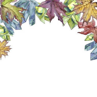 Akçaağaç yaprağı. Yaprak bitki botanik bahçe çiçek yaprakları. Çerçeve kenarlığı süsleme Meydanı.