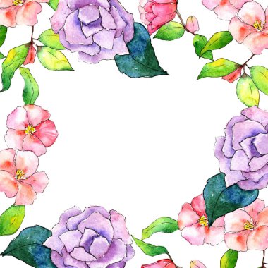 Pembe kamelya. Botanik çiçek. Çerçeve kenarlığı süsleme Meydanı.