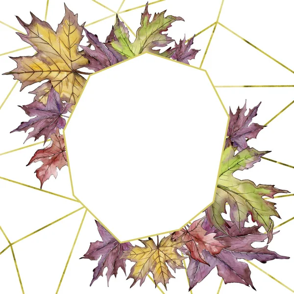 Maple leaf. Leaf plant botanical garden floral foliage. Frame border ornament square. — Stock Photo, Image