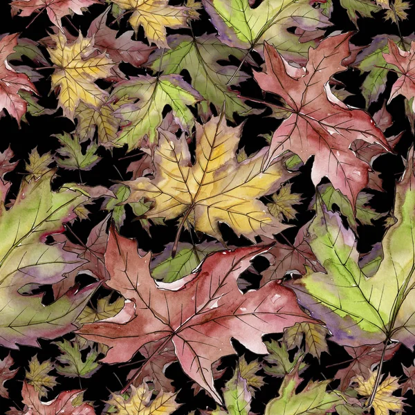 Akçaağaç yaprağı. Yaprak bitki botanik bahçe çiçek yaprakları. Sorunsuz arka plan deseni. 