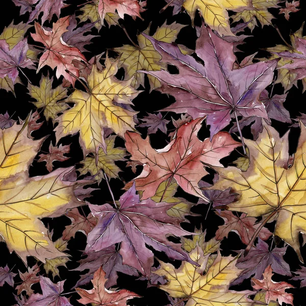 Maple leaf. Leaf plant botanical garden floral foliage. Seamless background pattern. — Stock Photo, Image