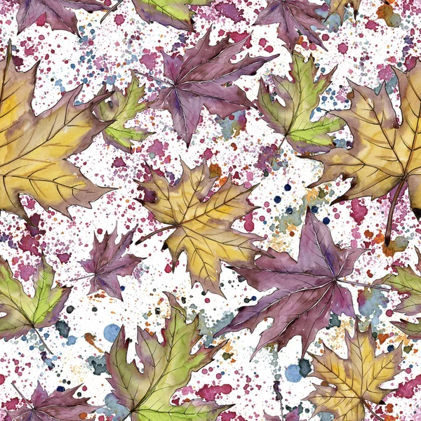 Akçaağaç yaprağı. Yaprak bitki botanik bahçe çiçek yaprakları. Sorunsuz arka plan deseni. 