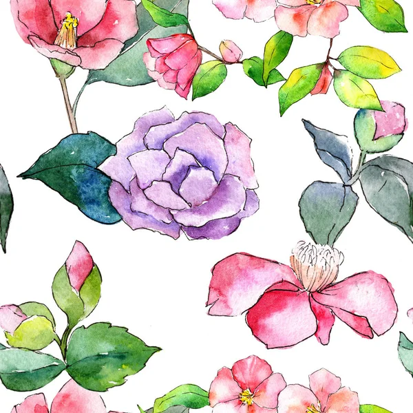 Camélia rose. Fleur botanique florale. Modèle de fond sans couture . — Photo