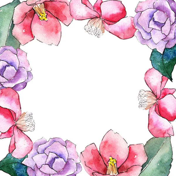 粉红色茶花。花卉植物花。框边框装饰广场. — 图库照片