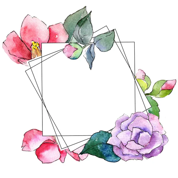 Camélia rose. Fleur botanique florale. Cadre bordure ornement carré . — Photo
