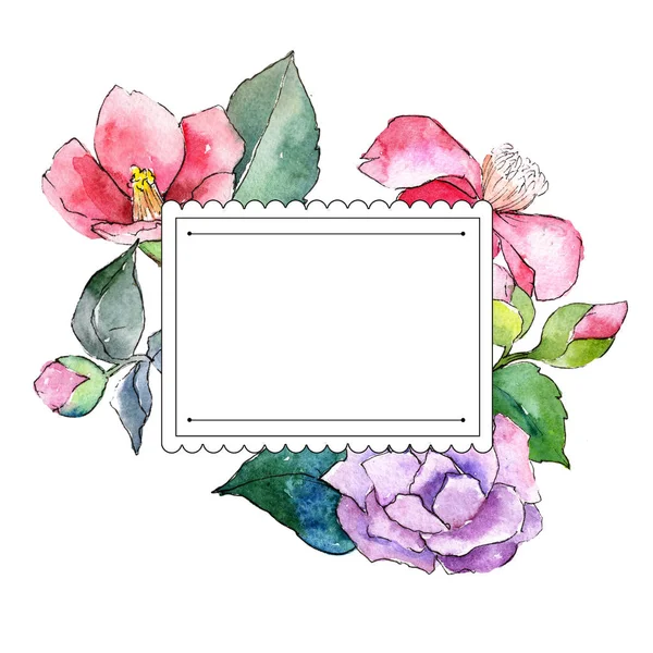 Camélia rosa. Floral flor botânica. Quadro borda ornamento quadrado . — Fotografia de Stock