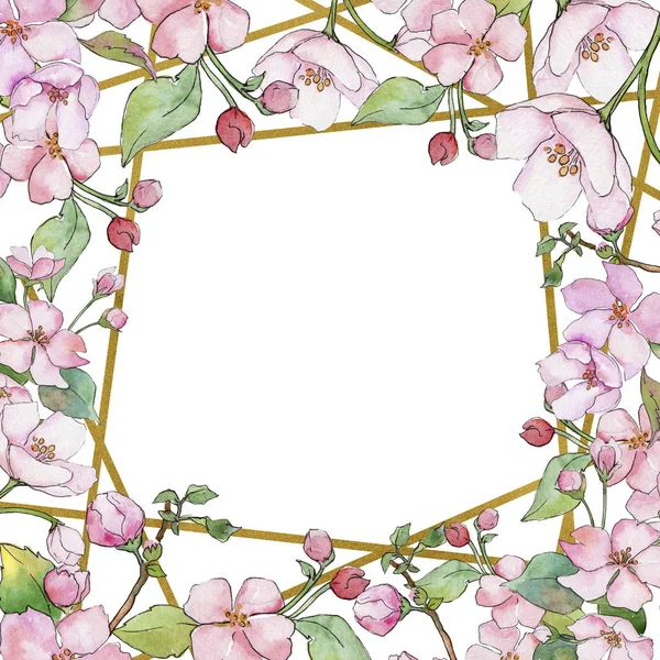 Ροζ κεράσι άνθη. Floral βοτανικό λουλούδι. Πλαίσιο συνόρων στολίδι τετράγωνο. — Φωτογραφία Αρχείου