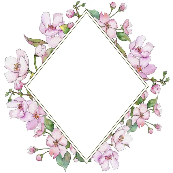 Rosarote Kirschblüten. Blütenbotanische Blume. Rahmen Rand Ornament Quadrat. — Stockfoto