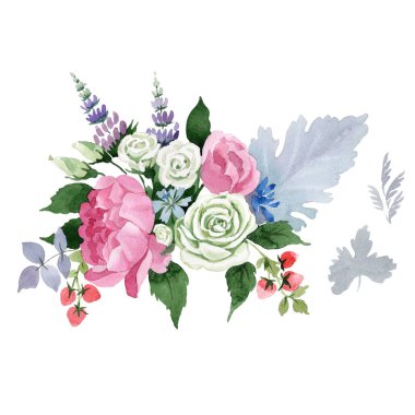 Buket çiçek. Botanik çiçek. İzole vahşi yaz yaprak kır çiçeği.