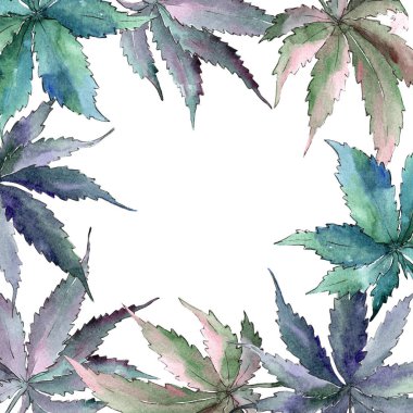 Esrar yeşil yaprak. Yaprak bitki botanik bahçe çiçek yaprakları. Çerçeve kenarlığı süsleme Meydanı.