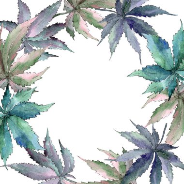 Esrar yeşil yaprak. Yaprak bitki botanik bahçe çiçek yaprakları. Çerçeve kenarlığı süsleme Meydanı.