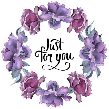 Renkli gül. Botanik çiçek. Çerçeve kenarlığı süsleme Meydanı.