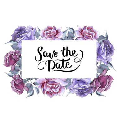 Renkli gül. Botanik çiçek. Çerçeve kenarlığı süsleme Meydanı.