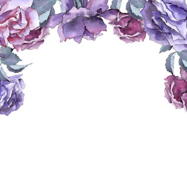 Renkli gül. Botanik çiçek. Çerçeve kenarlığı süsleme Meydanı.