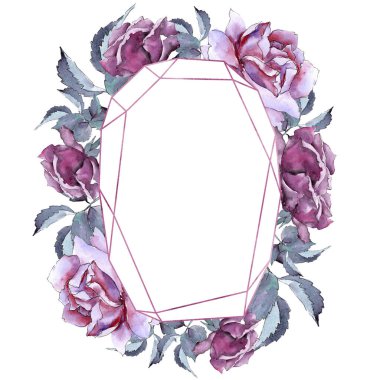 Renkli gül. Botanik çiçek. Çerçeve kenarlığı süsleme Meydanı.