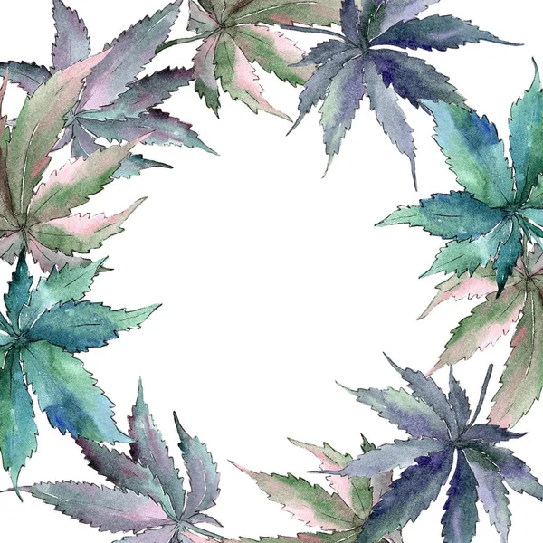 Esrar yeşil yaprak. Yaprak bitki botanik bahçe çiçek yaprakları. Çerçeve kenarlığı süsleme Meydanı.