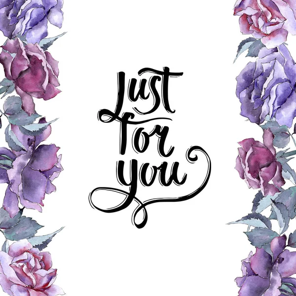 Renkli gül. Botanik çiçek. Çerçeve kenarlığı süsleme Meydanı.