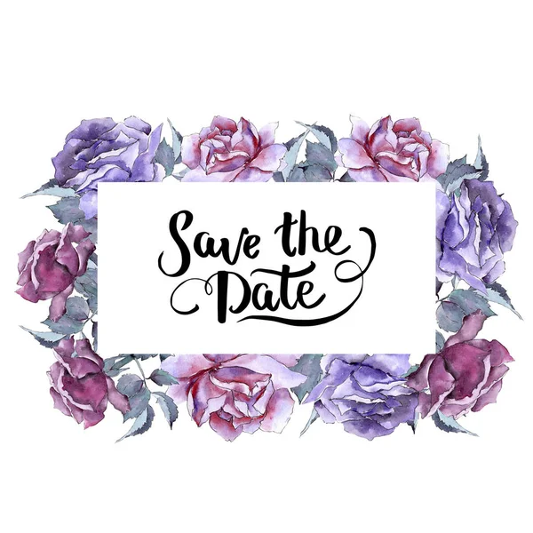 Renkli gül. Botanik çiçek. Çerçeve kenarlığı süsleme Meydanı.