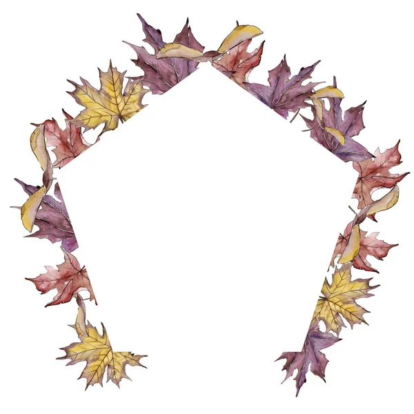 カエデの葉。葉植物植物園花葉。フレーム枠飾りスクエア. — ストック写真
