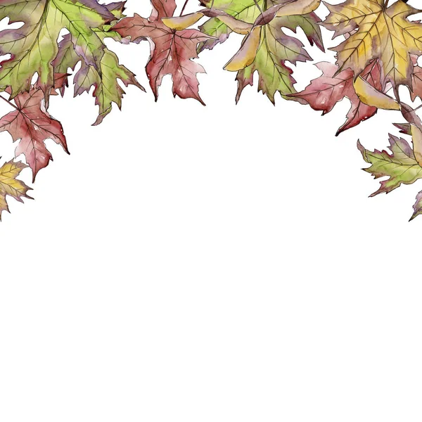 Esdoornblad. Blad plant botanische tuin floral gebladerte. Frame grens ornament vierkant. — Stockfoto
