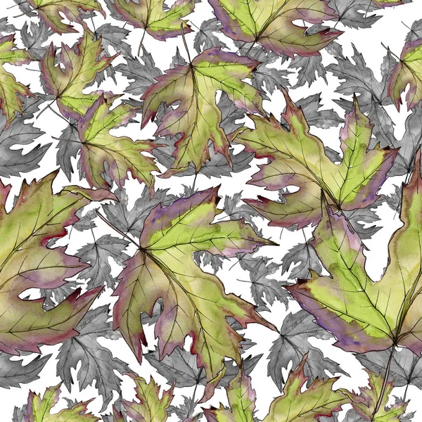 Maple leaf. Leaf plant botanical garden floral foliage. Seamless background pattern. — Stock Photo, Image