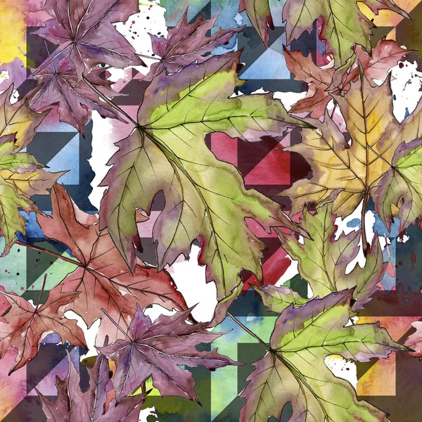 Akçaağaç yaprağı. Yaprak bitki botanik bahçe çiçek yaprakları. Sorunsuz arka plan deseni. 