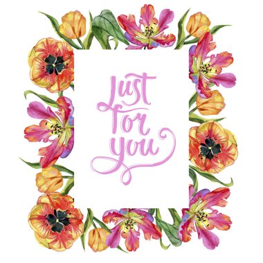 Renkli yaz lale. Botanik çiçek. Çerçeve kenarlığı süsleme Meydanı.