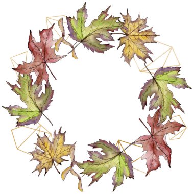 Akçaağaç yaprağı. Yaprak bitki botanik bahçe çiçek yaprakları. Çerçeve kenarlığı süsleme Meydanı.