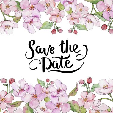 Pembe kiraz çiçekleri. Botanik çiçek. Çerçeve kenarlığı süsleme Meydanı.