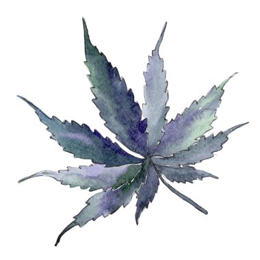 Esrar yeşil yaprak. Yaprak bitki botanik bahçe çiçek yaprakları.