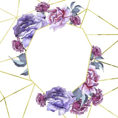 Renkli gül. Botanik çiçek. Çerçeve kenarlığı süsleme Meydanı.